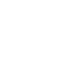 icon-consulting-blanc